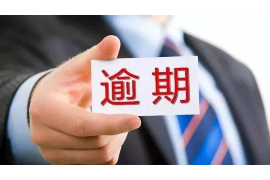 洮南融资清欠服务